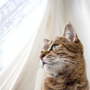 シングルマザーが恋愛をするきっかけとは 思わずときめく男性の特徴 Single Style